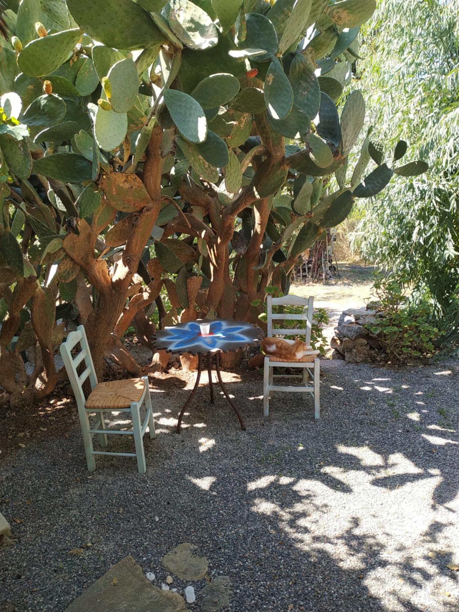 Wellanidia Cottage Skoutari Гитион Экстерьер фото